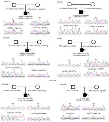 Genetic and Clinical Analyses of 13 Chinese Families With Cystine Urolithiasis and Identification of 15 Novel Pathogenic Variants in SLC3A1 and SLC7A9